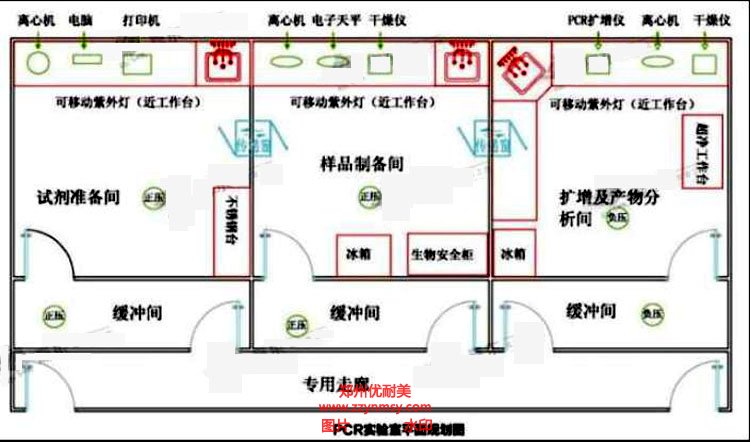標(biāo)準(zhǔn)PCR實驗室建設(shè)方案效果圖
