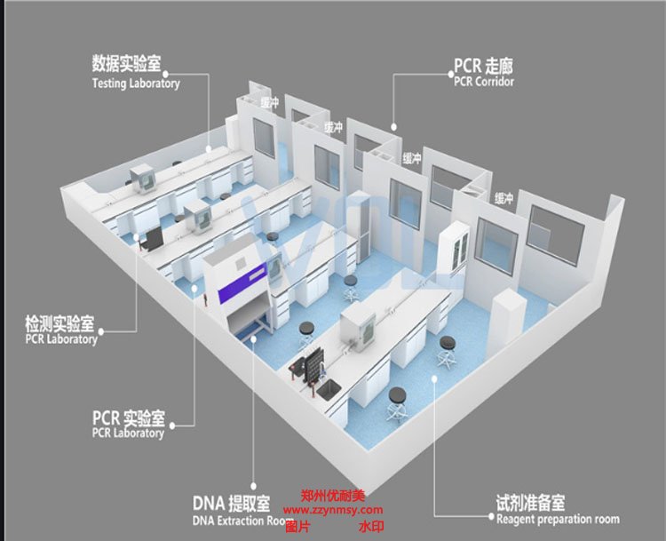 PCR實驗室建設(shè)方案布局